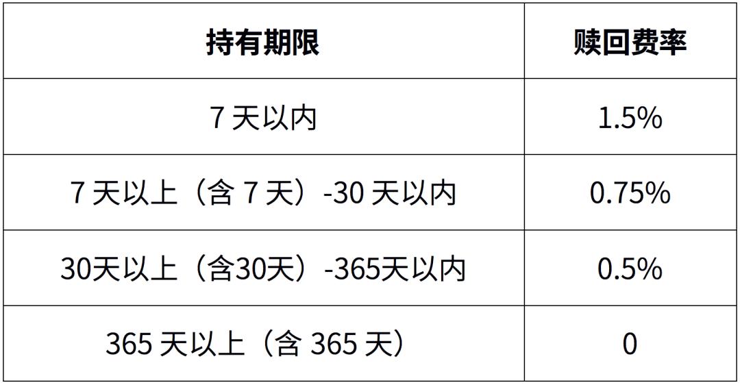 最新新股认购，探索与机遇的交汇点