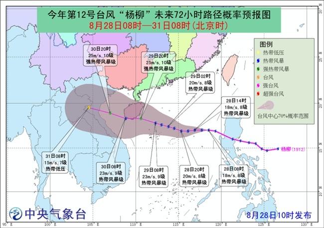 台风第12号深度解析，最新动态与应对策略