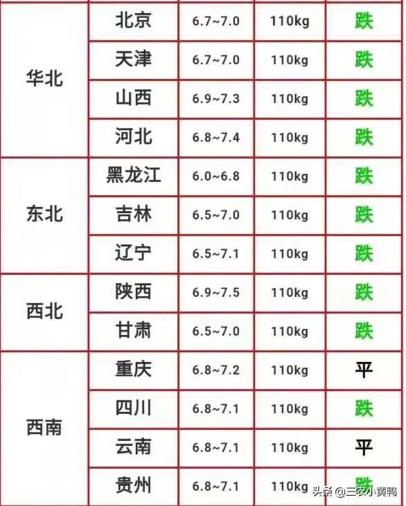 猪肉价格今日最新行情，市场走势、影响因素及未来展望