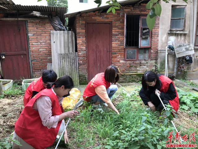 合江街道最新动态速递